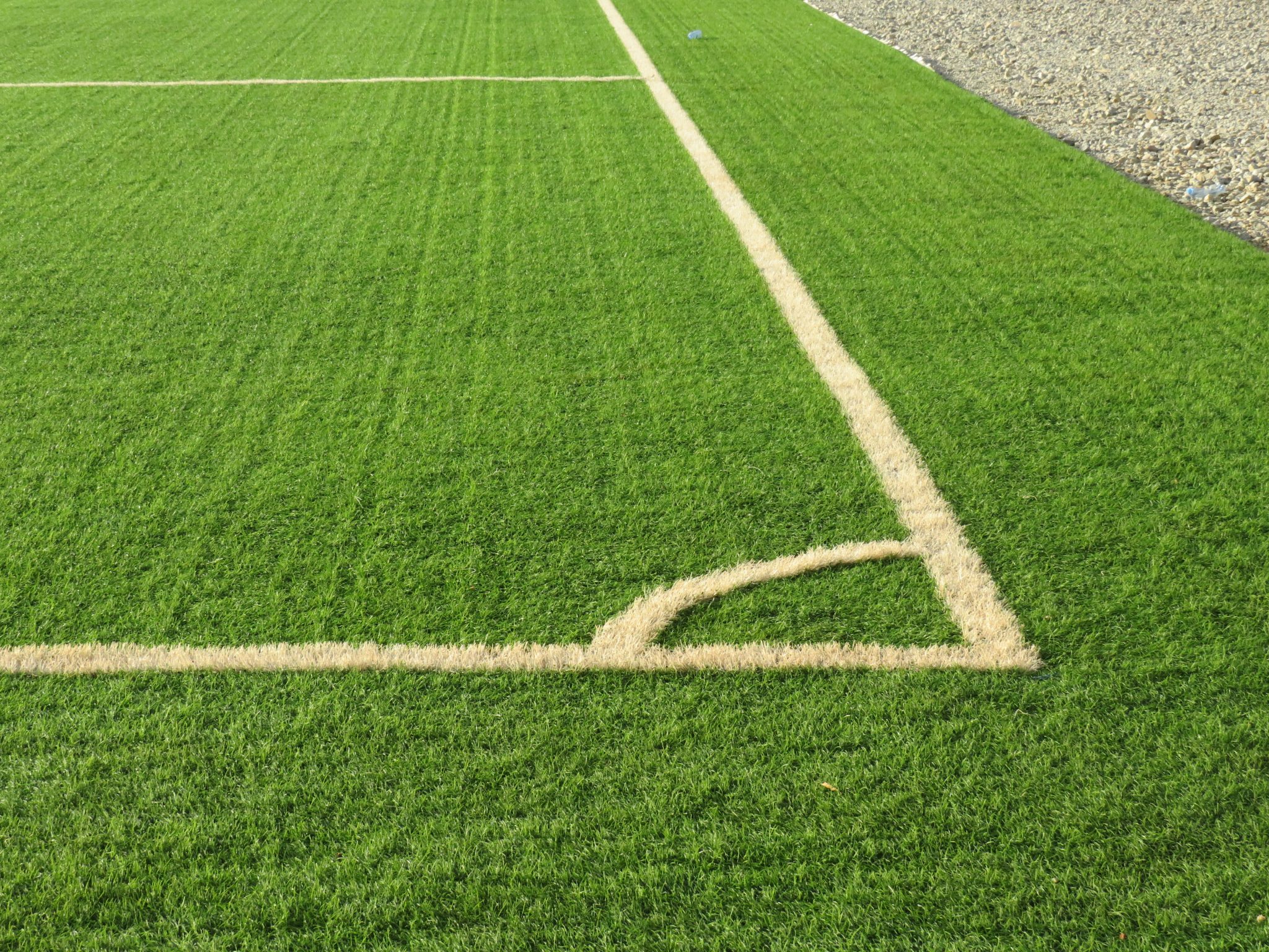 Artificial Grass