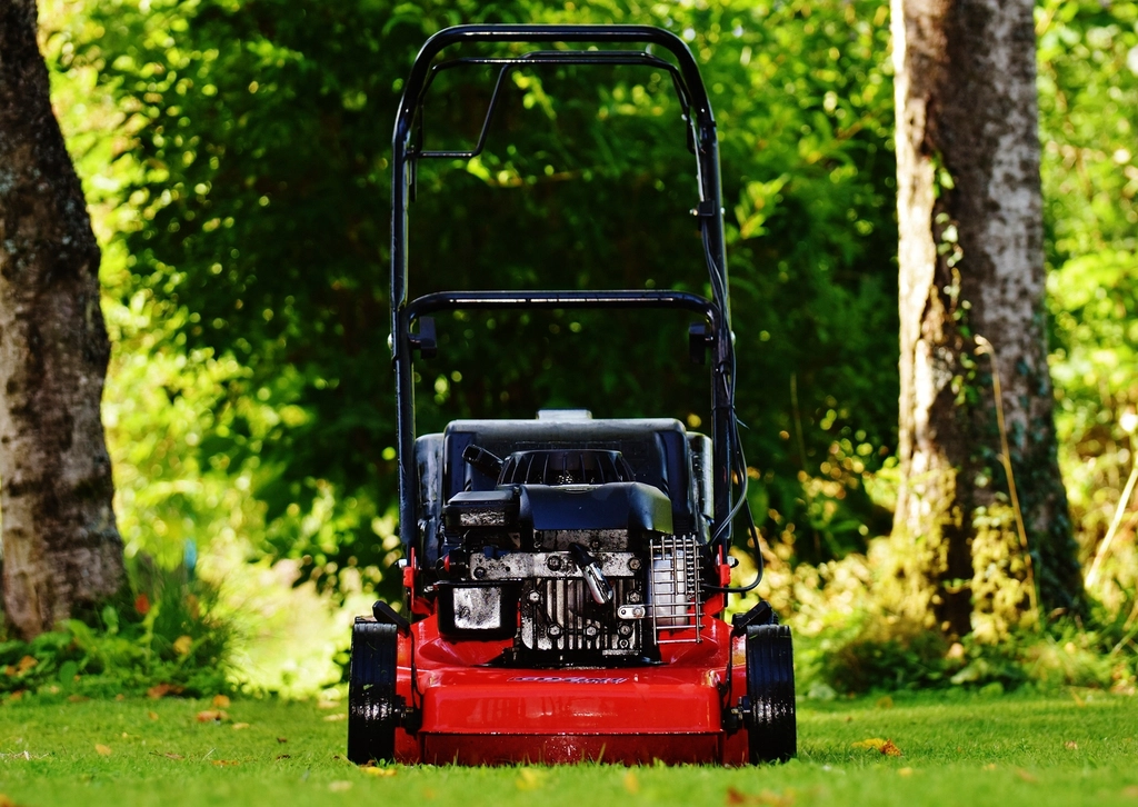 Garden Maintenance